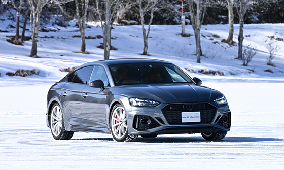 シーズン到来アウディA4.A5.TTに⭐️極上高級スタッドレスタイヤホイー 