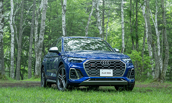 Audi 大阪中央 ┃ Audi Volkswagen Retail Japan (Audi Division) Audi 大阪中央 ┃ Audi Volkswagen Retail Japan (Audi Division)