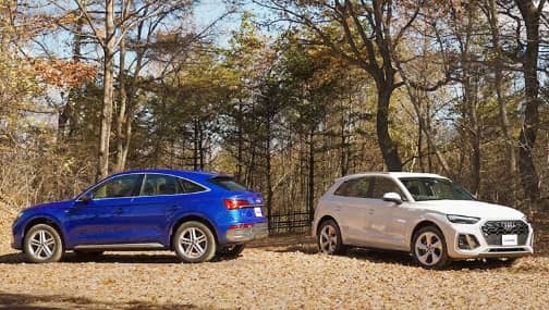 Audi Q5 / Audi Q5 Sportback