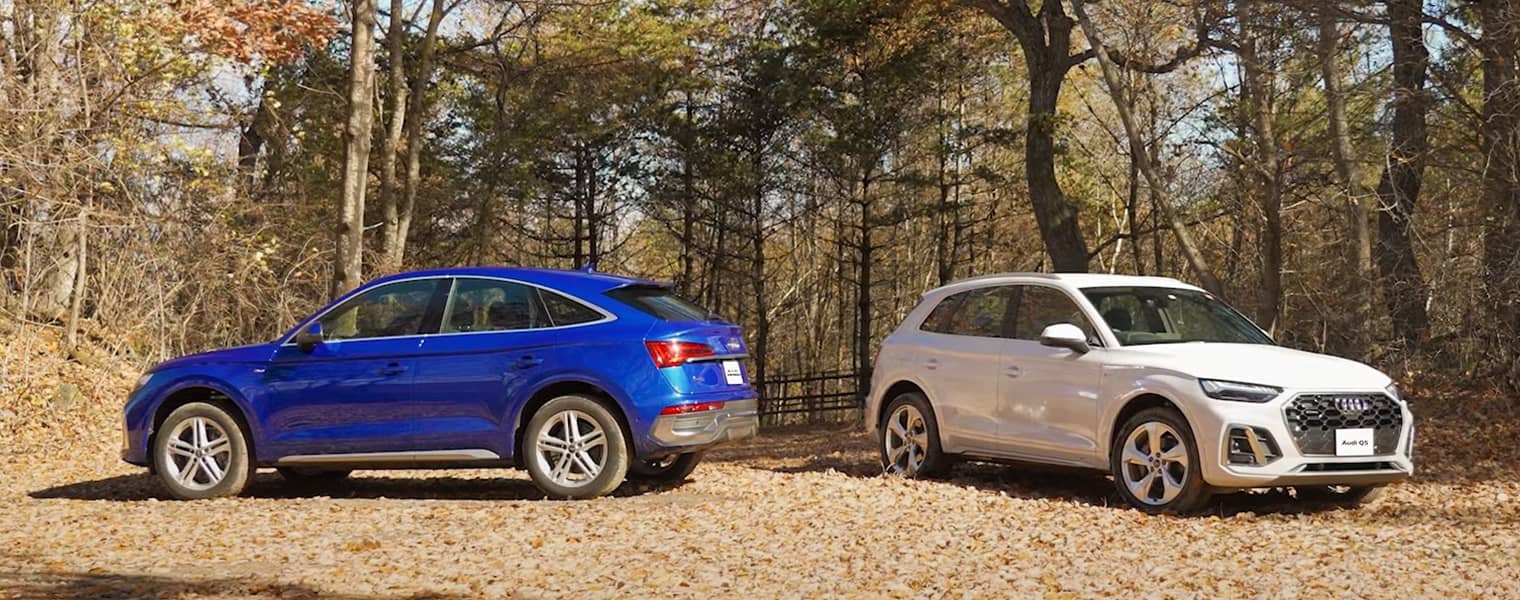 Audi Q5 / Audi Q5 Sportback