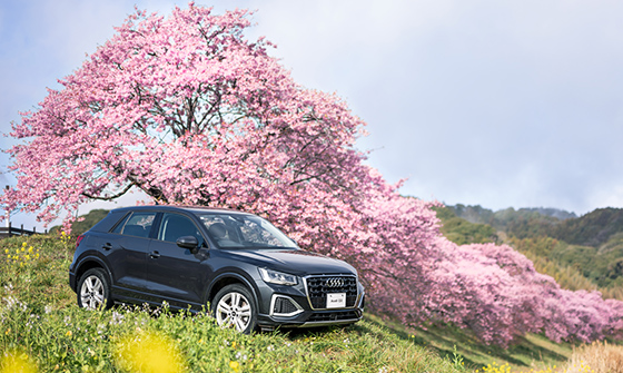 Audi City 紀尾井町 ┃ Audi Volkswagen Retail Japan (Audi