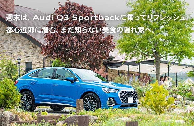 アウディジャパン販売 Audi Japan Sales