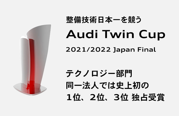 Audi eTwin Cup
