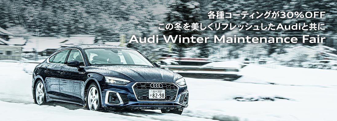 Audi Winter Maintenance Fair