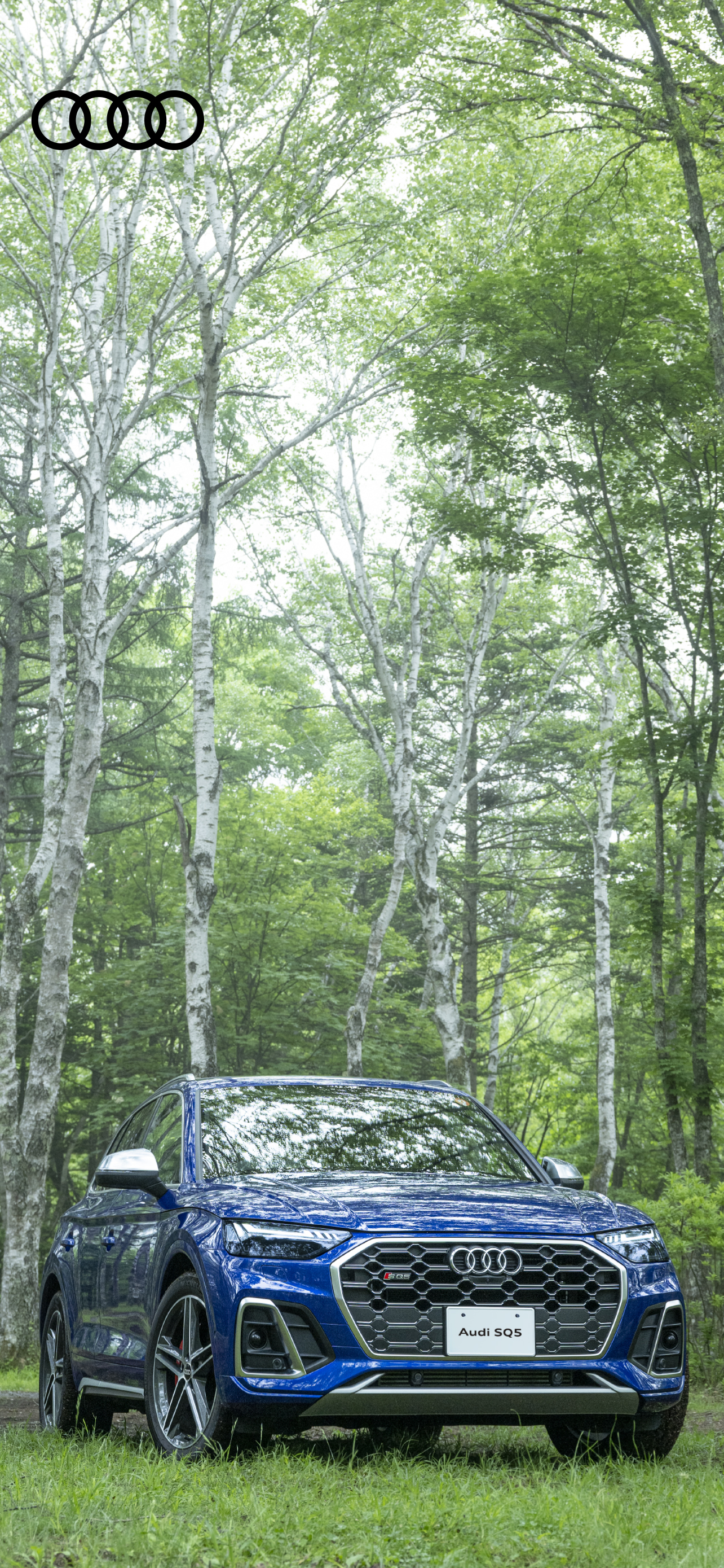 オリジナル壁紙 カレンダー Audi Japan Sales