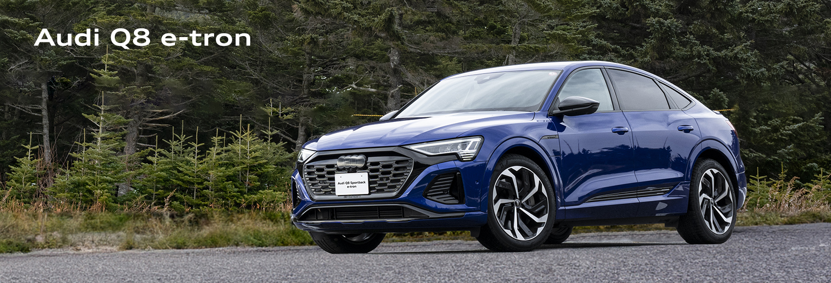 Audi Q8 e-tron